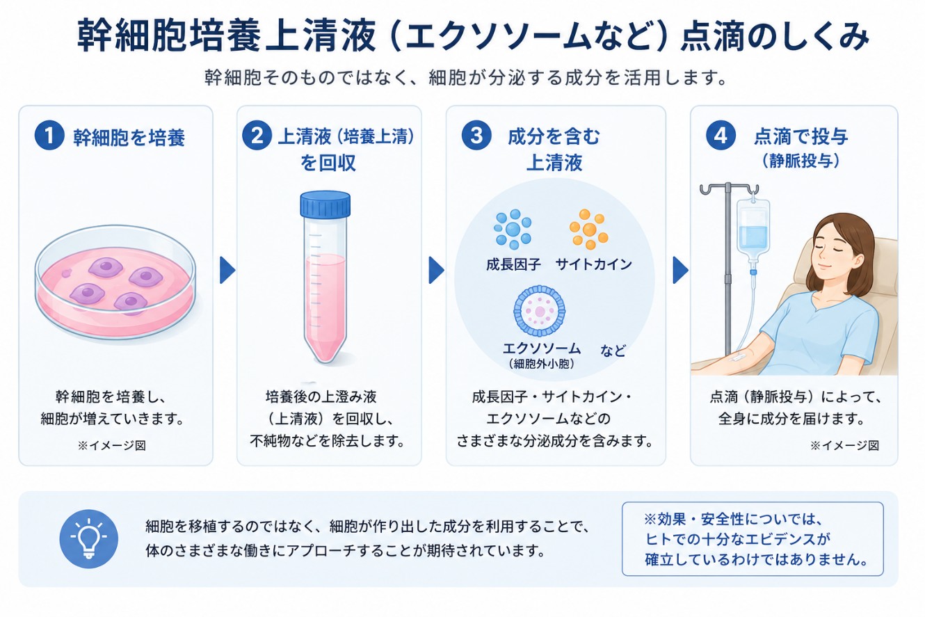 エクソソーム点滴幹細胞培養上清液のしくみを示す図