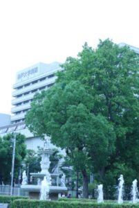 神戸大学形病院全景