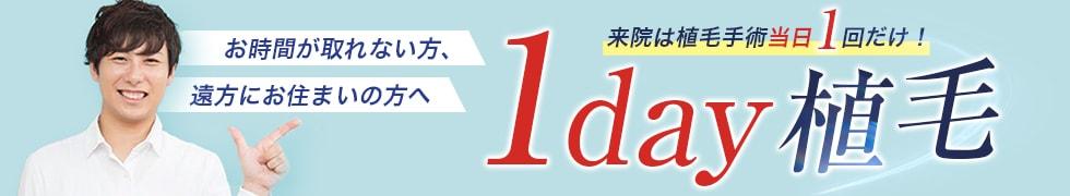 1day植毛の特徴