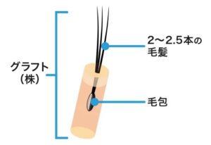 グラフト