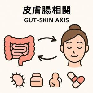 皮膚腸相関のイメージ