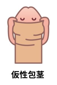 仮性包茎のイラスト