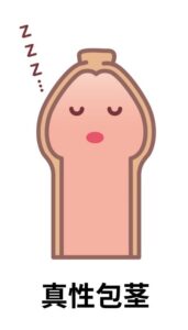 真性包茎のイラスト