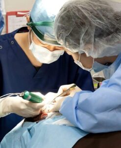 アスク井上クリニックのグラフト移植の様子