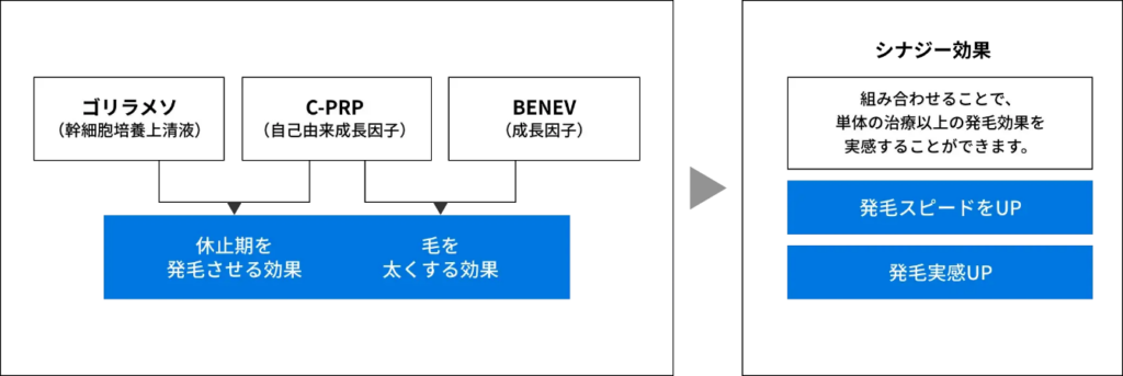 成長因子の治療によるシナジー効果の図
