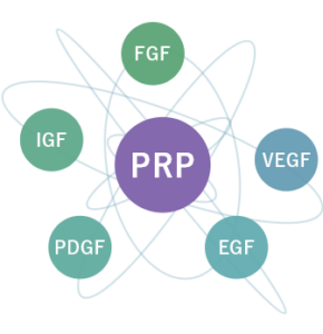 成長因子の種類