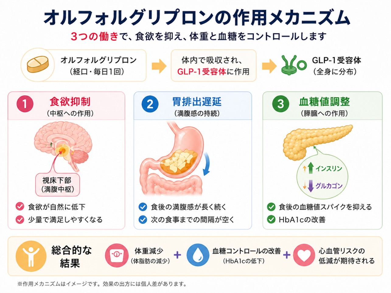 オルフォルグリプロンの作用メカニズム
