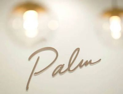 パルム美容クリニックのロゴ
