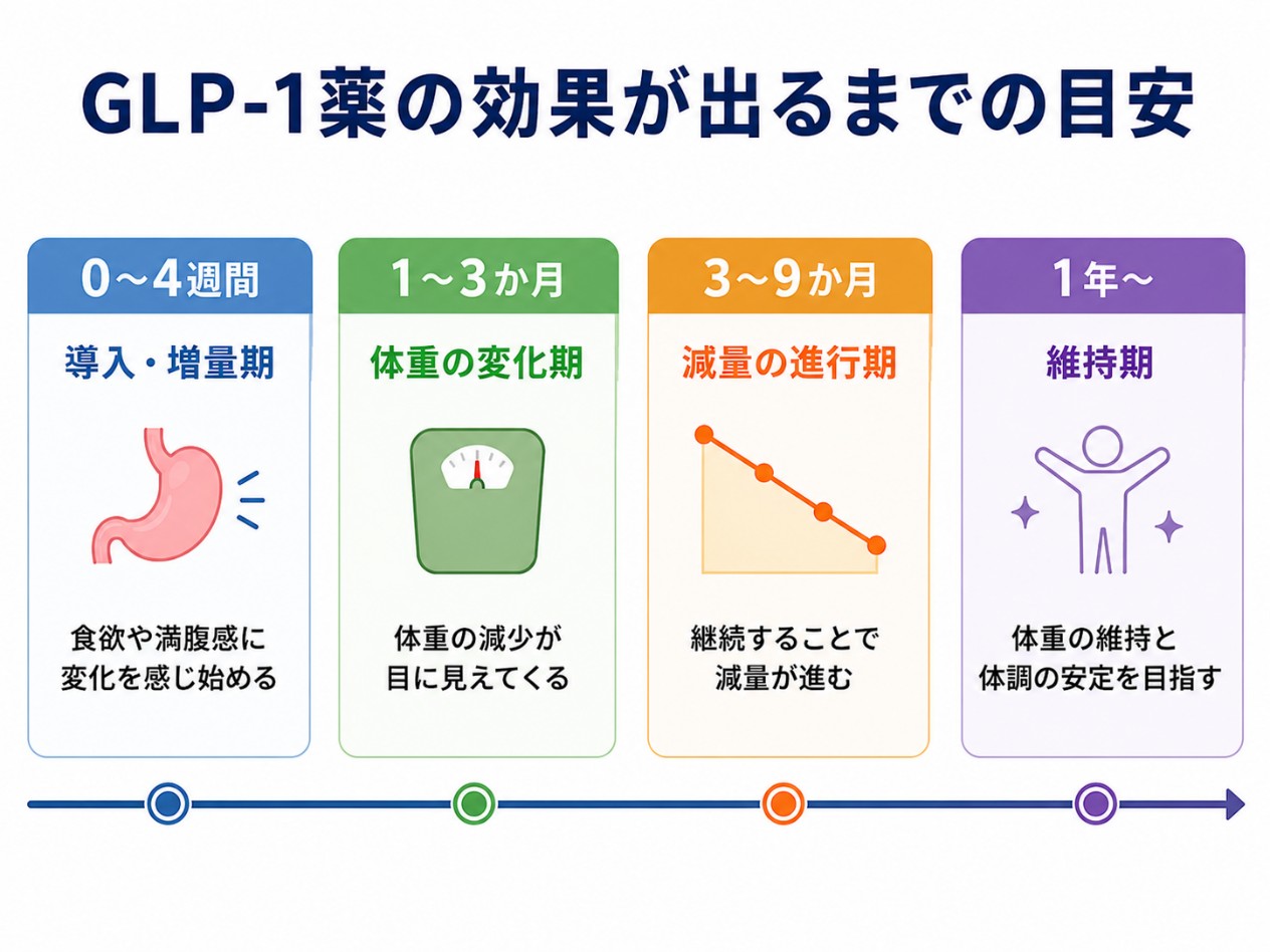 GLP-1受容体作動薬の効果が出る前の期間目安