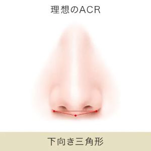 理想の鼻（下向き三角形）