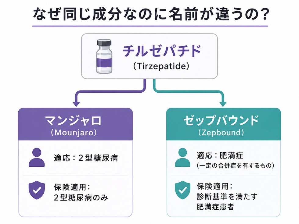 マンジャロとゼップバウンドの違い2