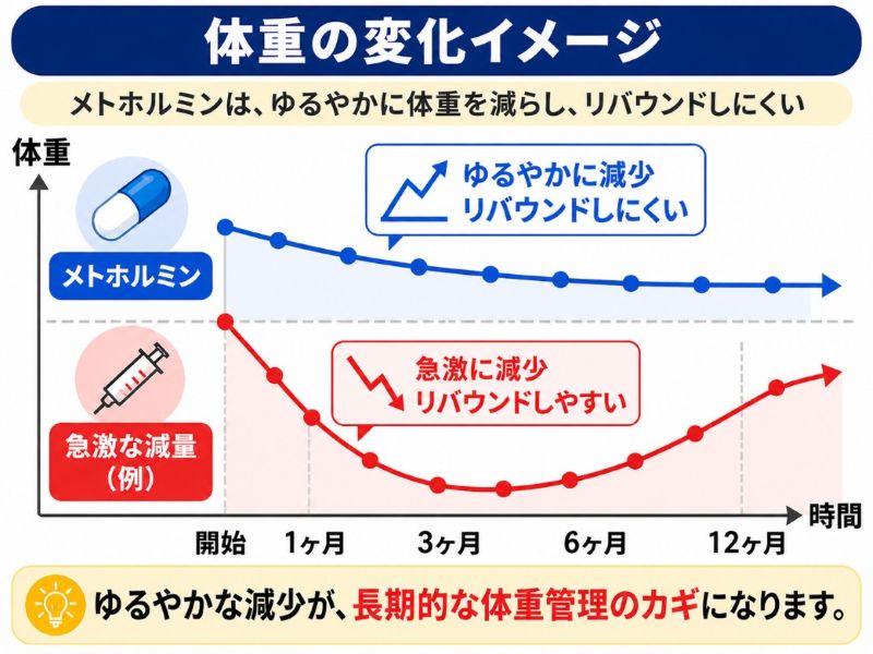 メトホルミンのメディカルダイエットの効果のグラフ