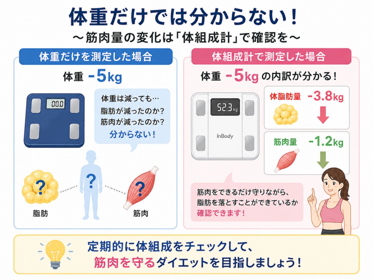 体組成計による筋肉量の変化