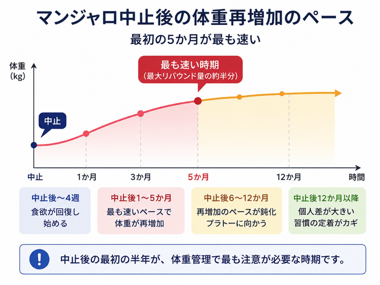 マンジャロ中止後の体重再増加のパターン
