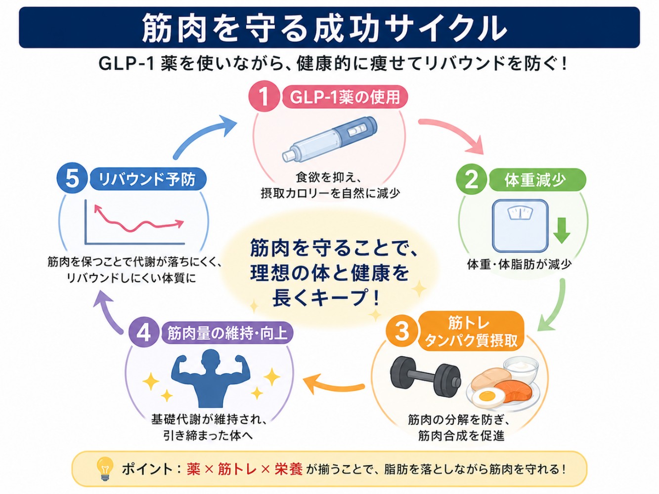 筋肉を守る成功にサイクル