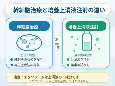 幹細胞培養液上清液と幹細胞治療の違い