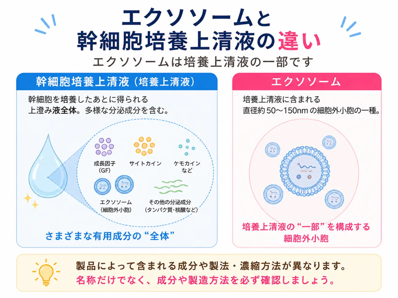 エクソソームと幹細胞培養上清液の違いを示す図