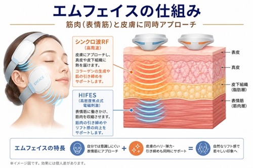 エムフェイスのメカニズム