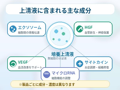幹細胞培養液上清液に含まれる主な成分