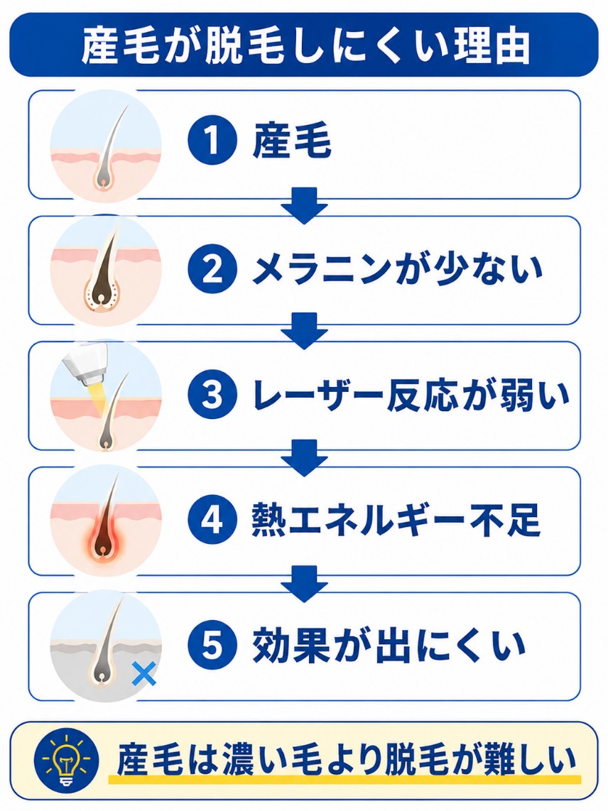 産毛の特性と脱毛が難しい理由