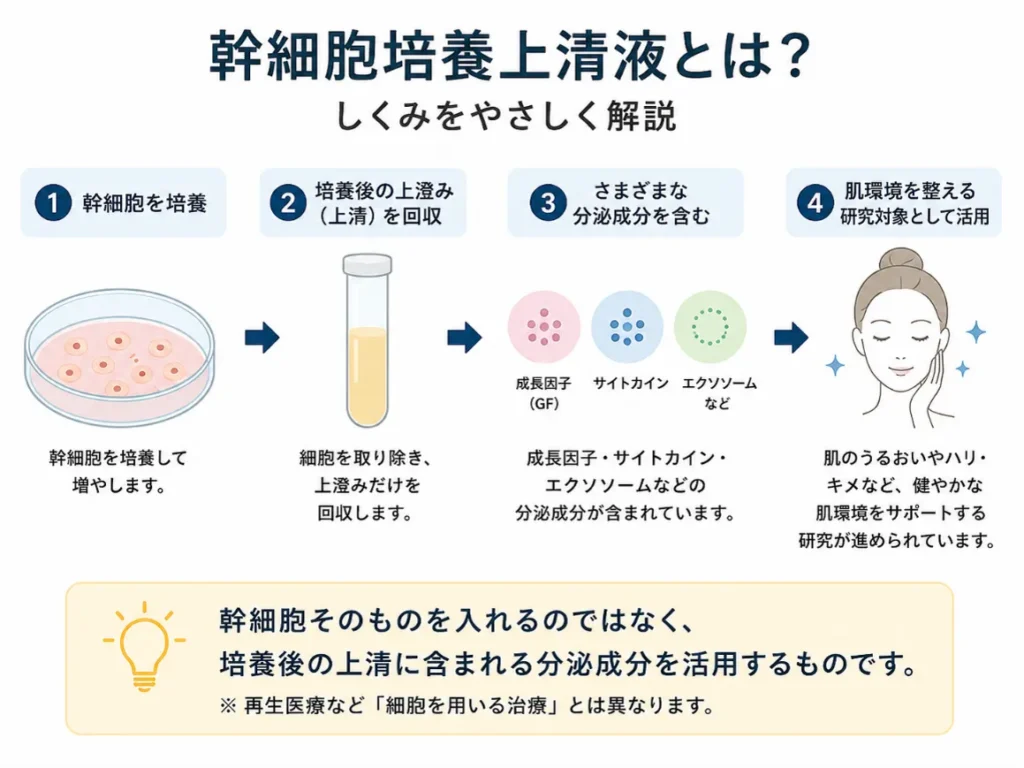 幹細胞培養上清液のしくみを示す図