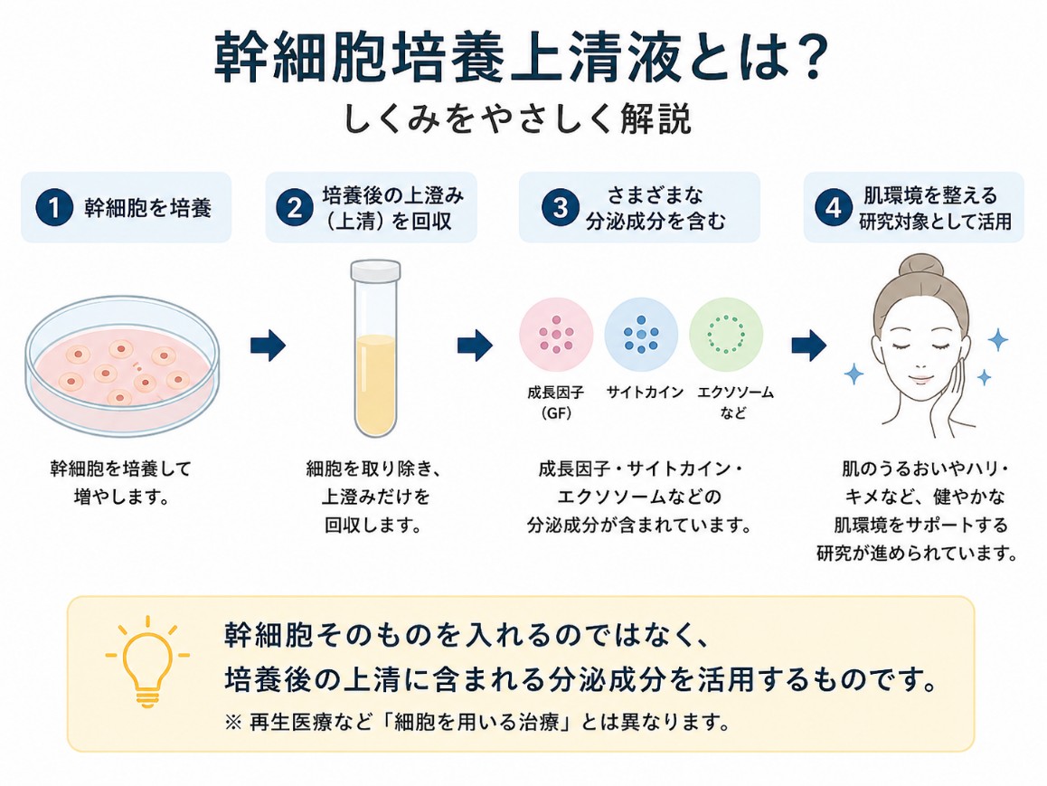 幹細胞培養上清液のしくみを示す図