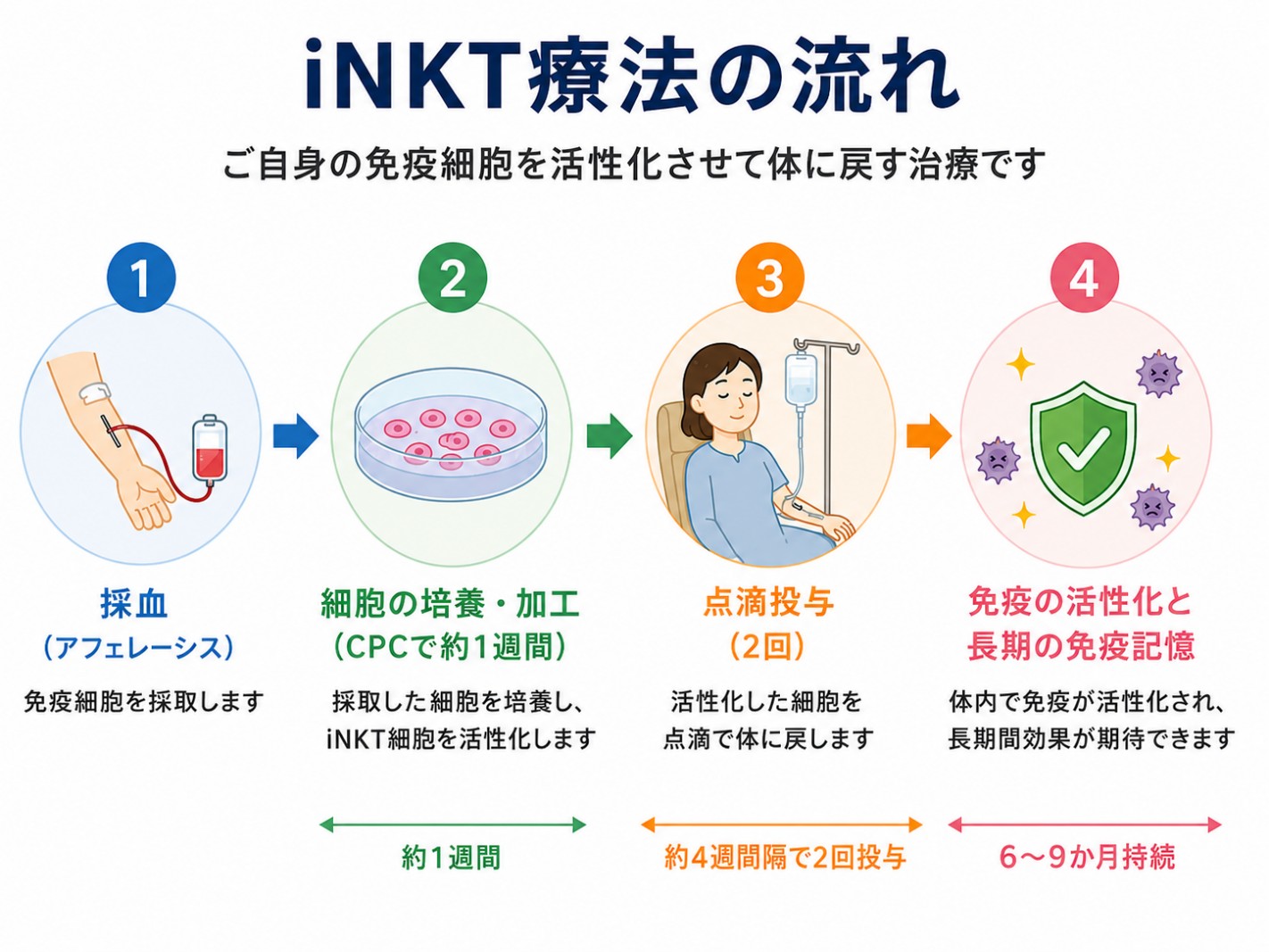 iNKT療法の流れ