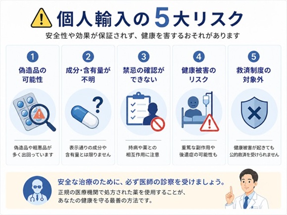 個人輸入の5大リスクを示す図