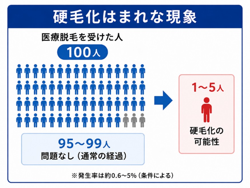 硬毛化の発生確率