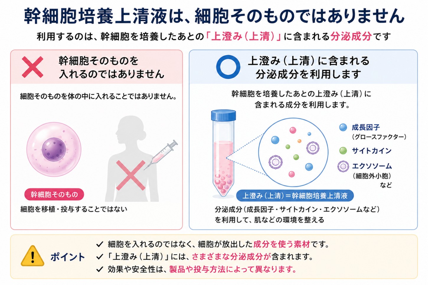 細胞そのものではないことを示す注意図