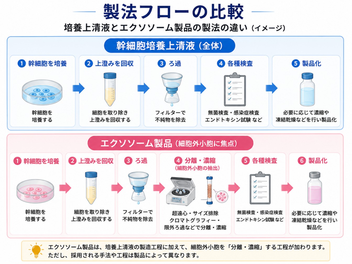 培養上清液とエクソソームの製法フローの比較
