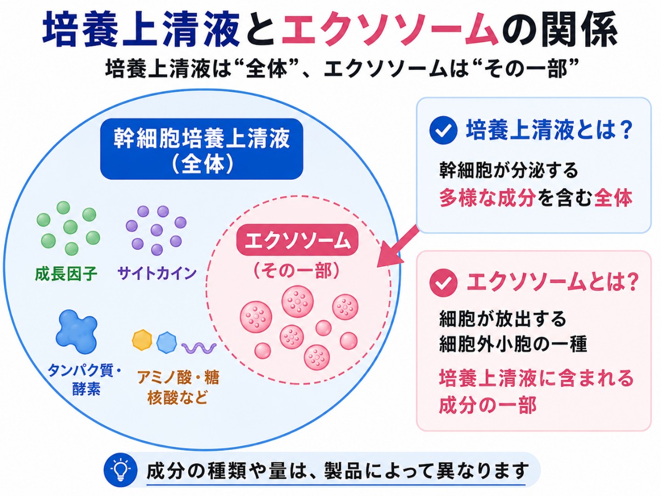 培養上清液（全体）とエクソソーム（その一部）の関係を示す図