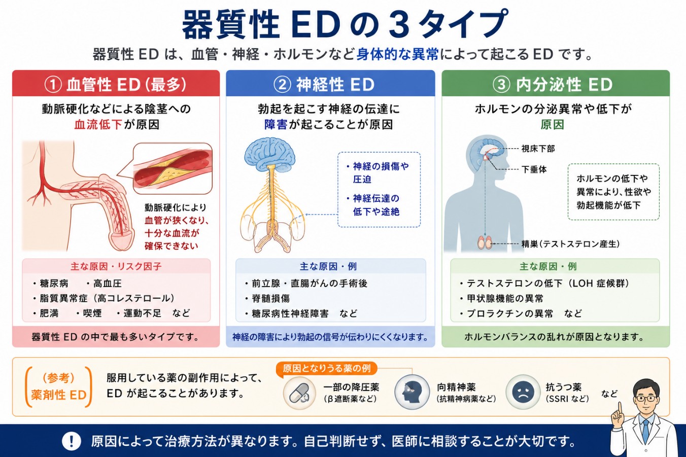 器質性EDの3タイプ|血管性・神経性・内分泌性