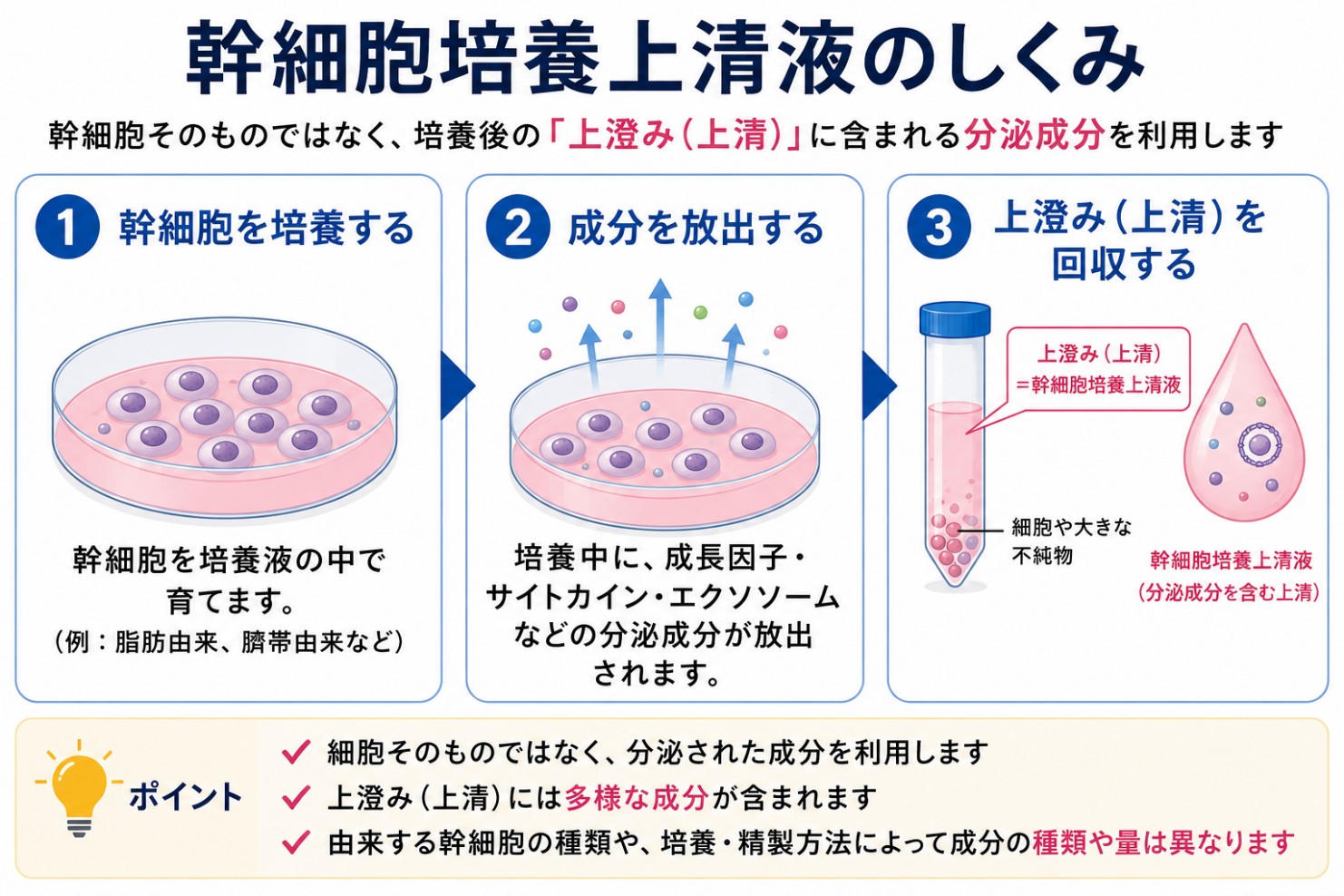 幹細胞培養上清液のしくみ(細胞ではなく分泌成分を使う)を示す図