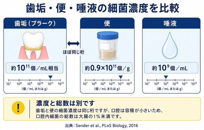 歯垢・便・唾液の細菌濃度を比較