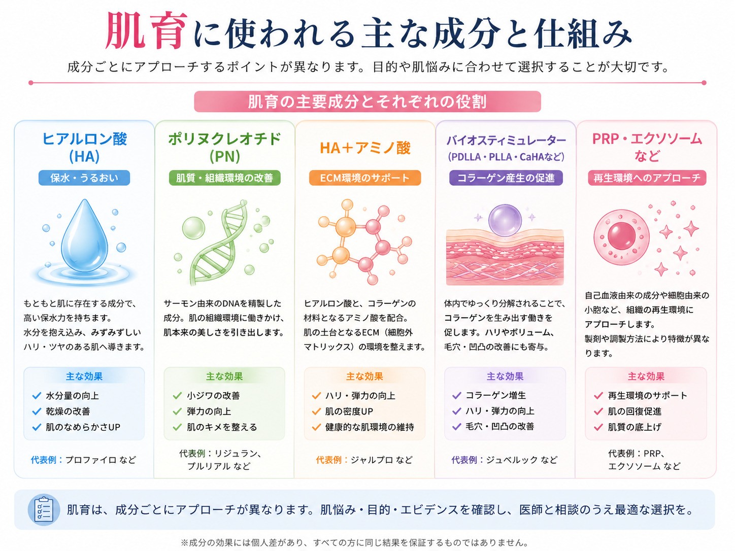 肌育で使われるヒアルロン酸・PN・アミノ酸・バイオスティミュレーターなどの違い