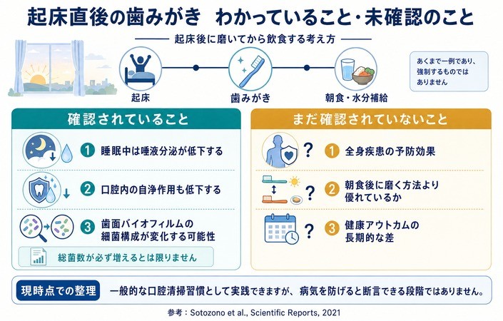 起床直後の歯磨き