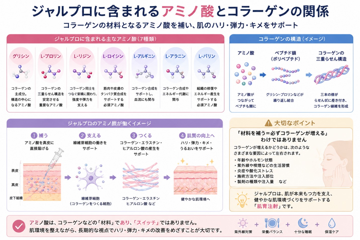 ジャルプロに含まれるアミノ酸とコラーゲンの関係