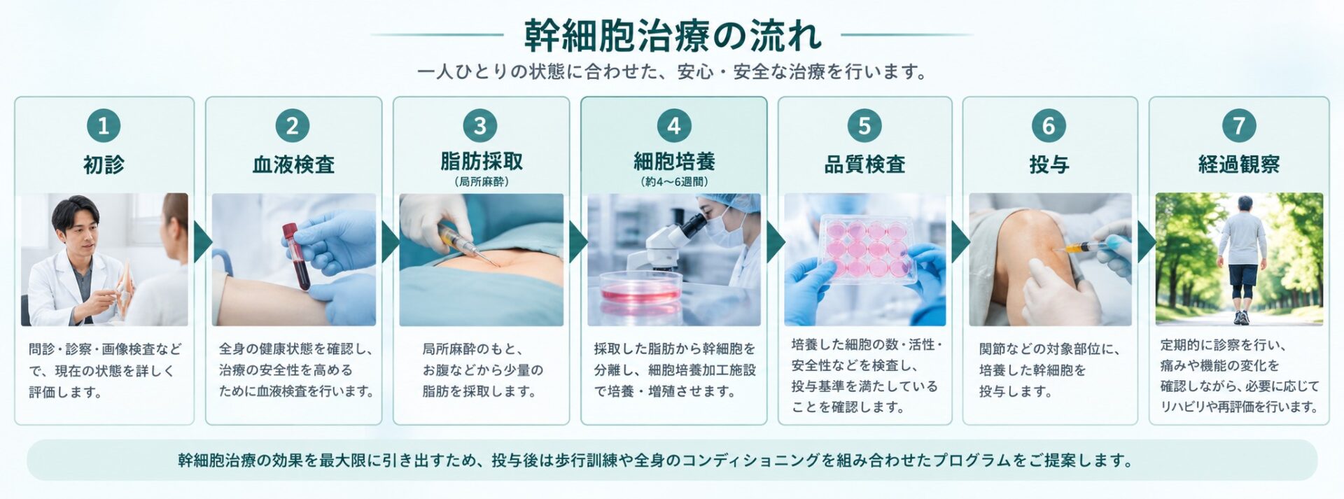 幹細胞治療の流れ。初診から血液検査、治療計画、脂肪採取、培養、投与、経過観察まで