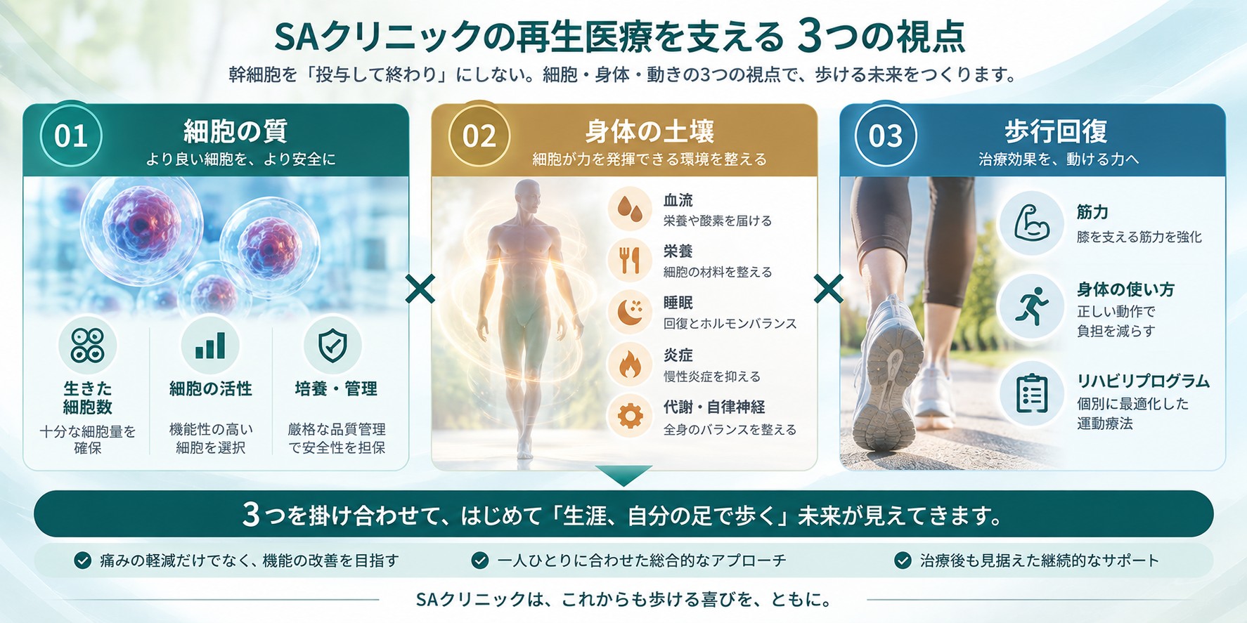 SAクリニックの再生医療を支える3つの視点。細胞の質、身体の土壌、歩行回復を一体で捉える考え方