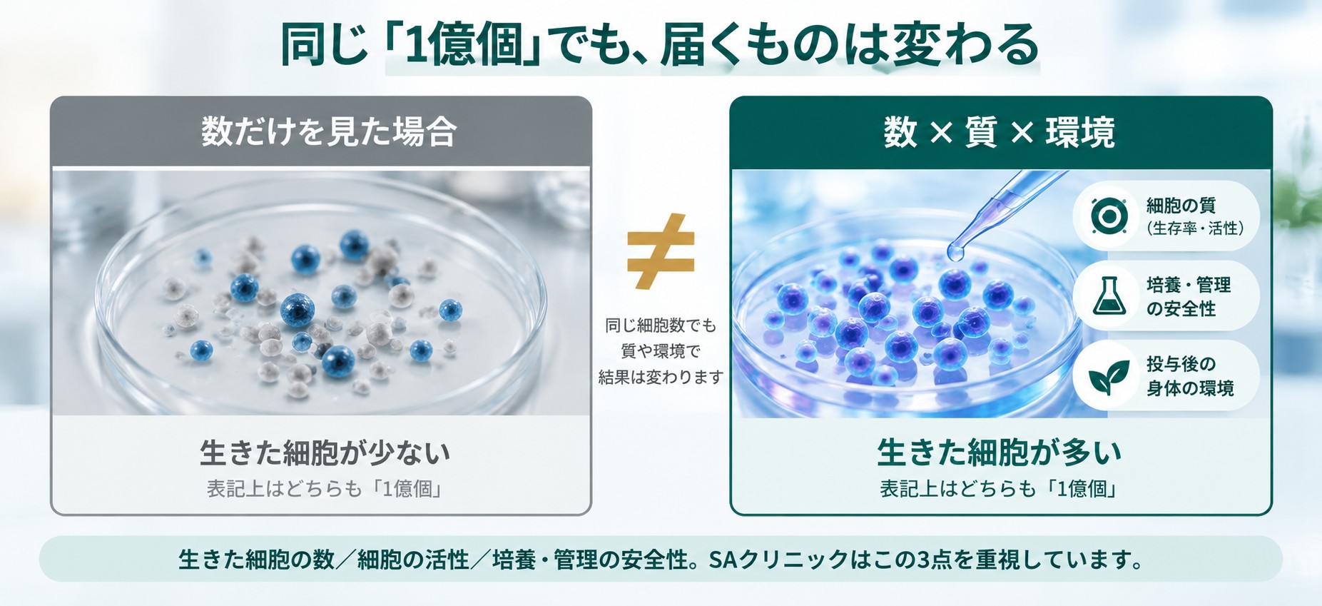 同じ細胞数でも生きた細胞の割合と質が異なることを示す概念図